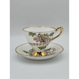 Royal Ardalt Hawthorn Missouri Teacup and Saucer Bone China State Flower England